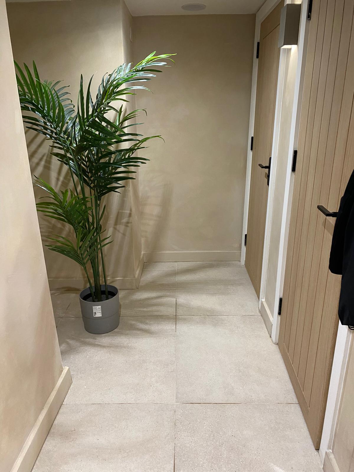 Carpet Cleaning Clapham